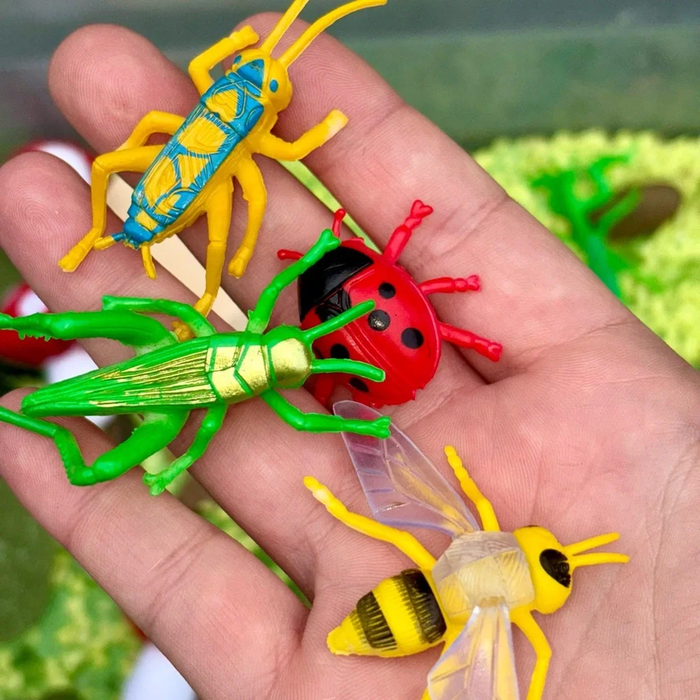 Bug Sensory Bin Kit